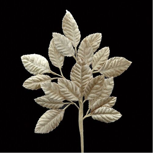 Velvet Leaf Stem - Nude