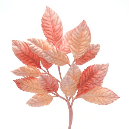 Velvet Leaf Stem - Peach