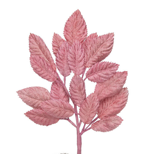 Velvet Leaf Stem - Pink Rose