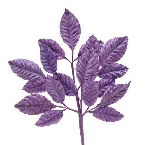 Velvet Leaf Stem - Purple