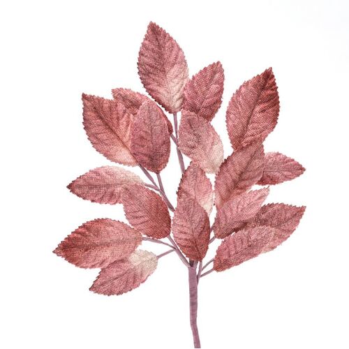 Velvet Leaf Stem - Rose Shaded