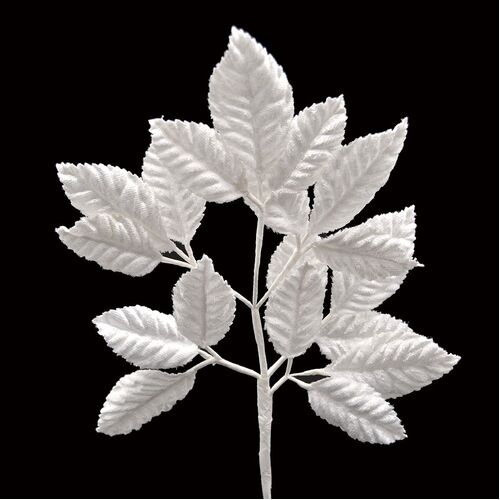 Velvet Leaf Stem - White