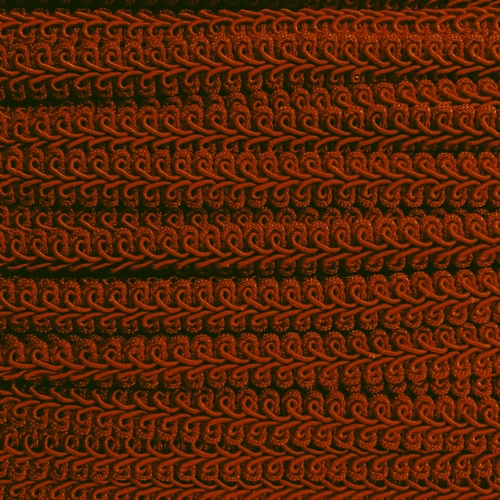Braid/Gimp 12mm - Rust