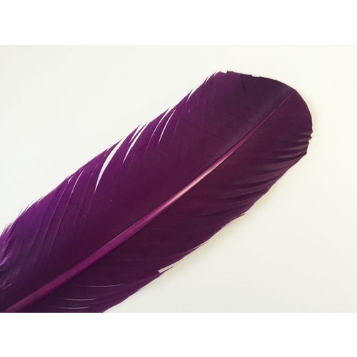 Wing Feather - Magenta