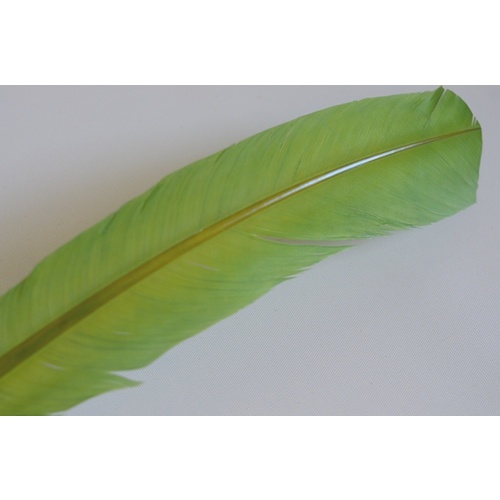 Wing Feather - Olive