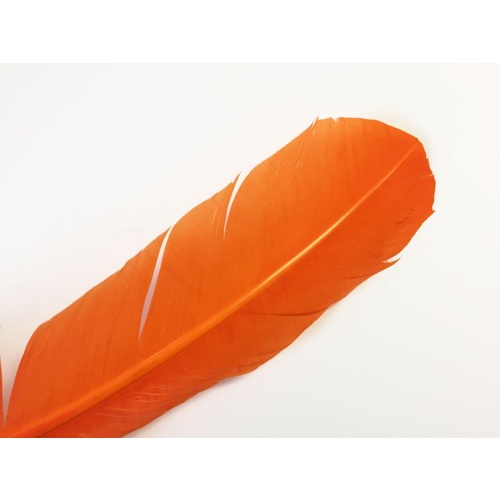 Wing Feather - Orange