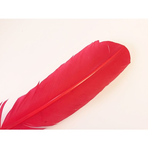 Wing Feather - Red