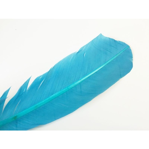 Wing Feather - Turquoise