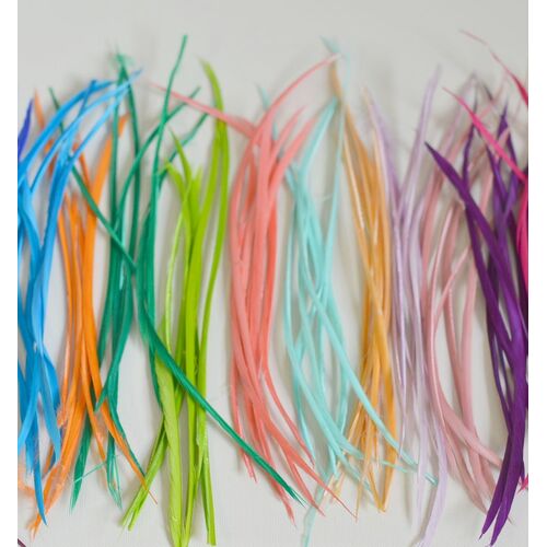 Biot/Qty 6 - Neon Yellow