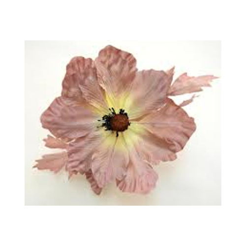 Poppy - Dusty Pink
