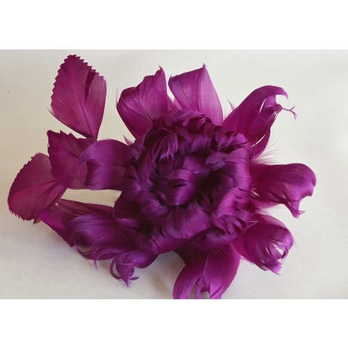Peony - Magenta
