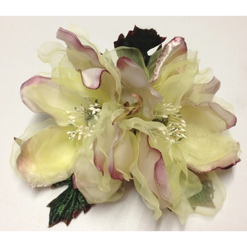 Magnolia - Sage