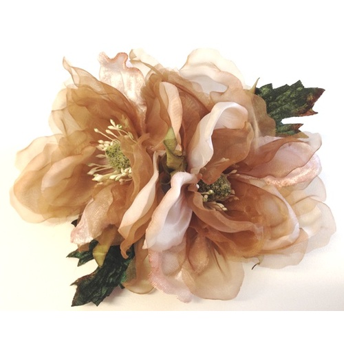 Magnolia - Di Serria