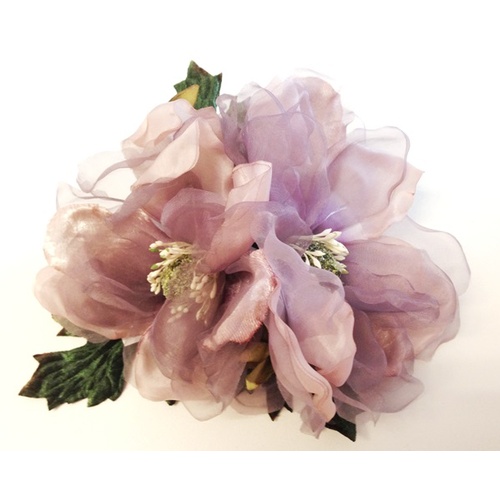 Magnolia - Brandy Rose
