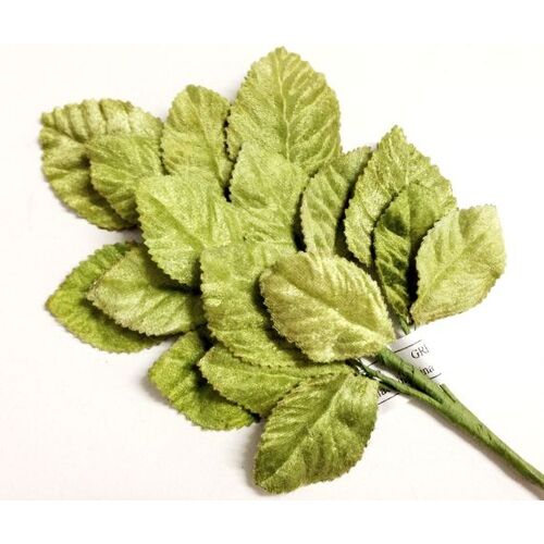 Velvet Leaf Stem/127 - Green