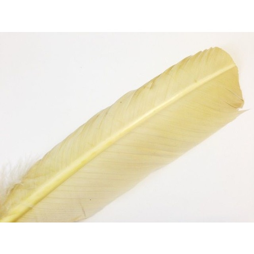 Wing Feather - Rich Cream
