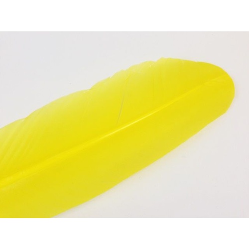 Wing Feather - Yellow