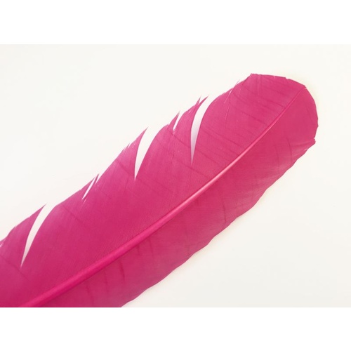 Wing Feather - Fuchsia