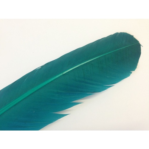 Wing Feather - Teal