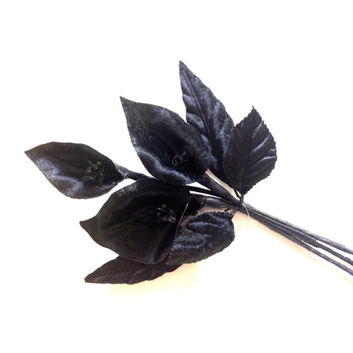 Calli Lily - Black
