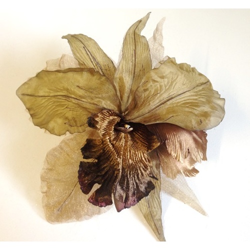 Large Orchid - Brown