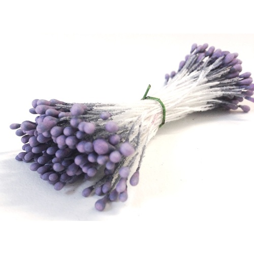 Stamen 6 - Purple