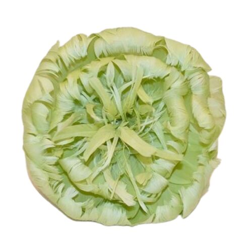 SPECIAL/Marigold - Lime