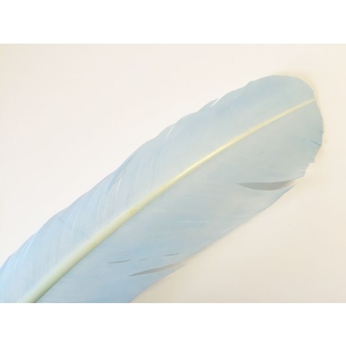 Wing Feather - Blue