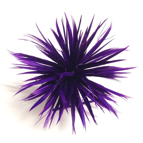 Dahlia - Purple