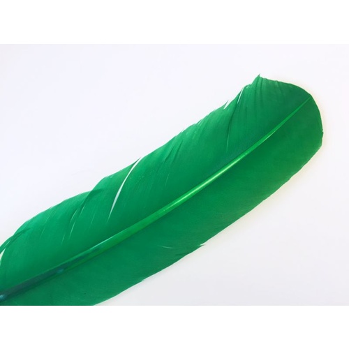 Wing Feather - Emerald