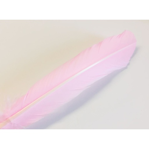 Wing Feather - Pink