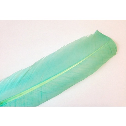 Wing Feather - Aqua