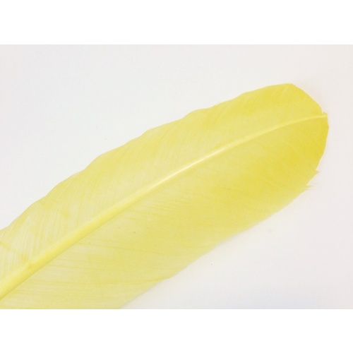 Wing Feather - Lemon