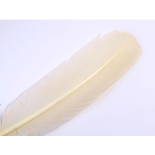 Wing Feather - Cream