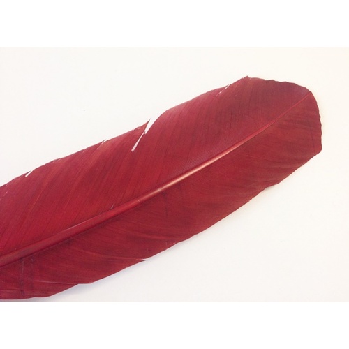 Wing Feather - Wine