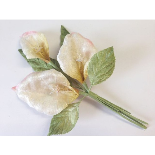 Calli Lily - Cream