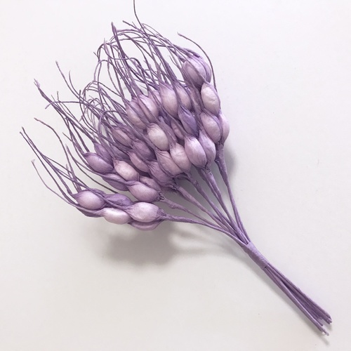 Stamen 5 - Lilac