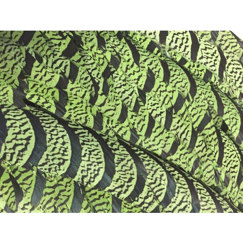 Lady Amherst - Green