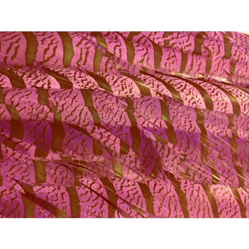 Lady Amherst - Pink