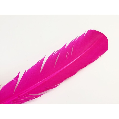 Wing Feather - Hot Pink