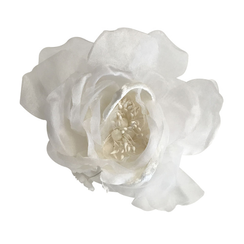 Open Rose/3352 - White