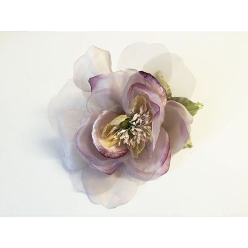 Open Rose/3352 - 4882