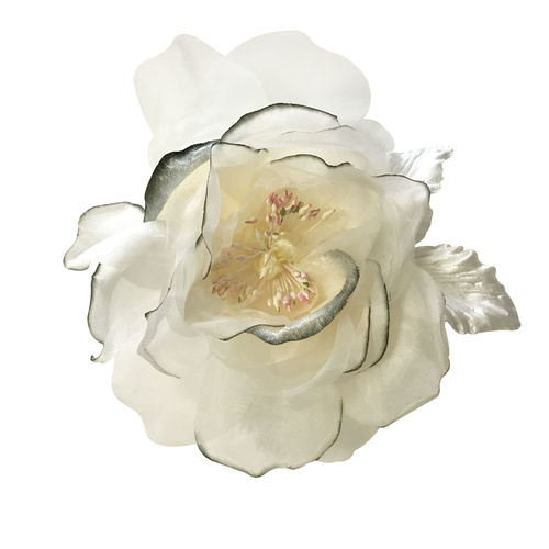 Open Rose/3352 - 6128