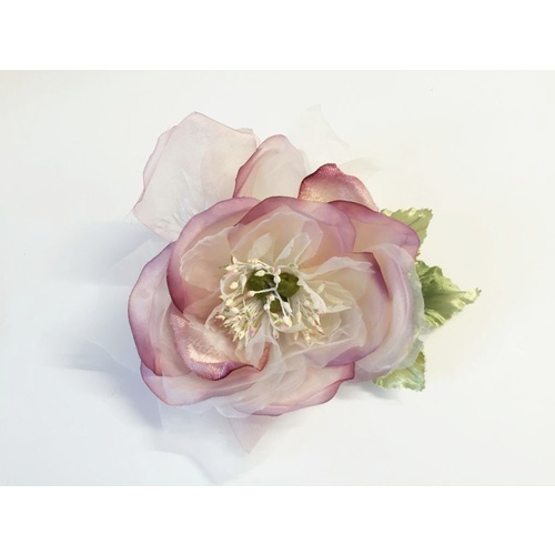 Open Rose/3352 - 5256