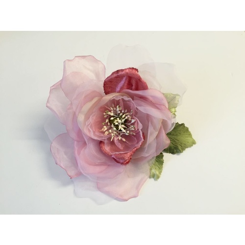 Open Rose/3352 - 5289