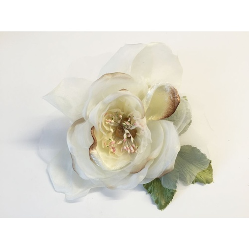 Open Rose/3352 - 5564