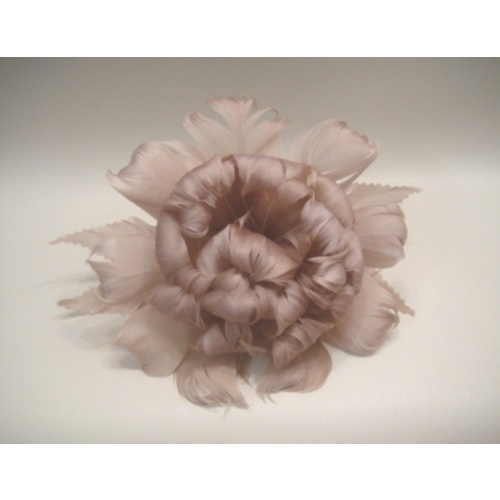 Peony - Latte