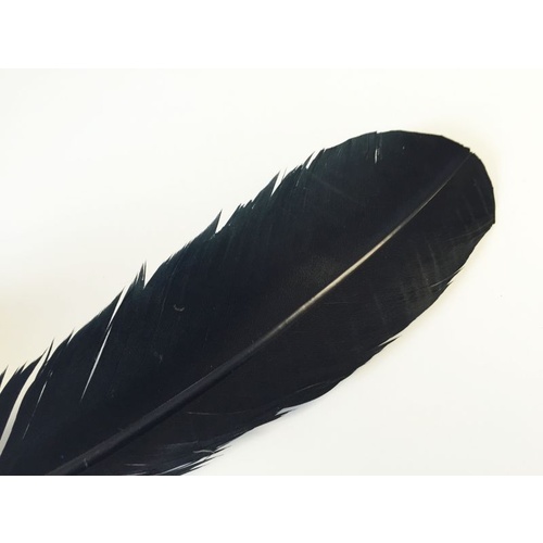 Wing Feather - Black