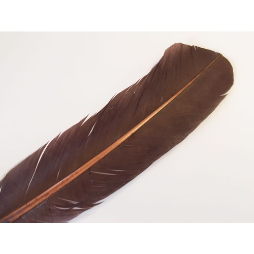 Wing Feather - Brown