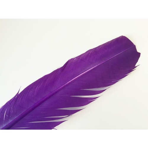 Wing Feather - Purple